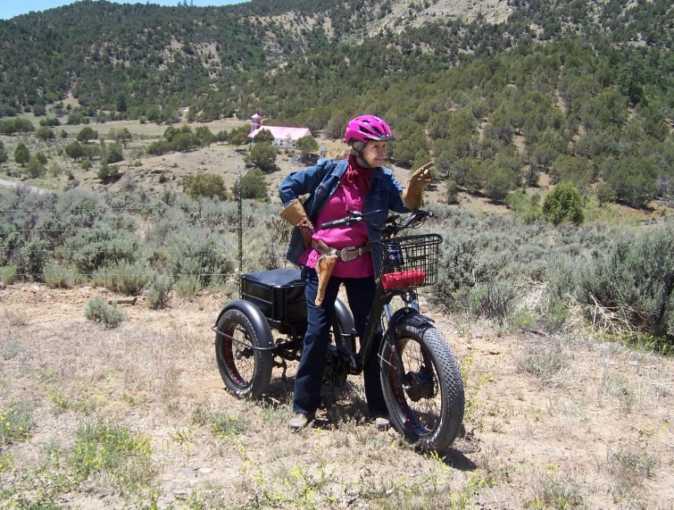 Three wheel electric bicycles adults