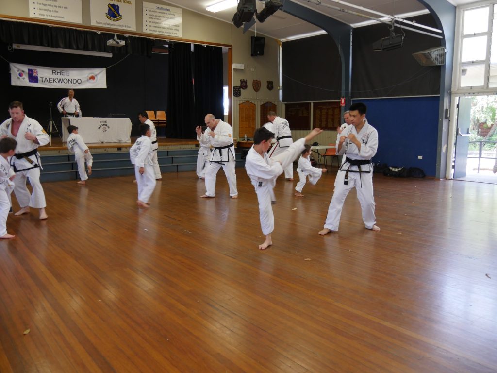 Taekwondo Training