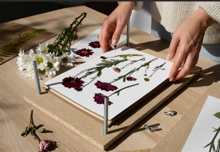 Pressed flower frame sydney Pressed flower frame sydney