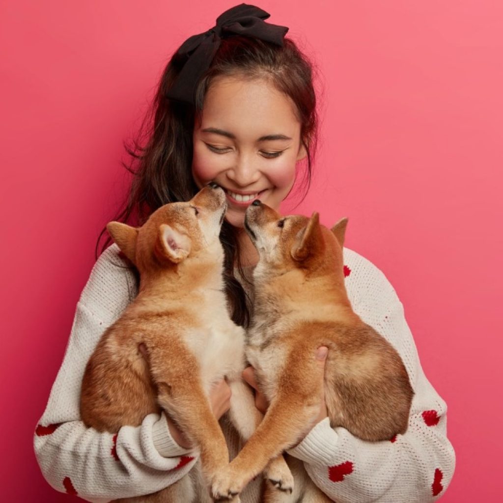 Discover the cat playdate app for safe, social cat meetups