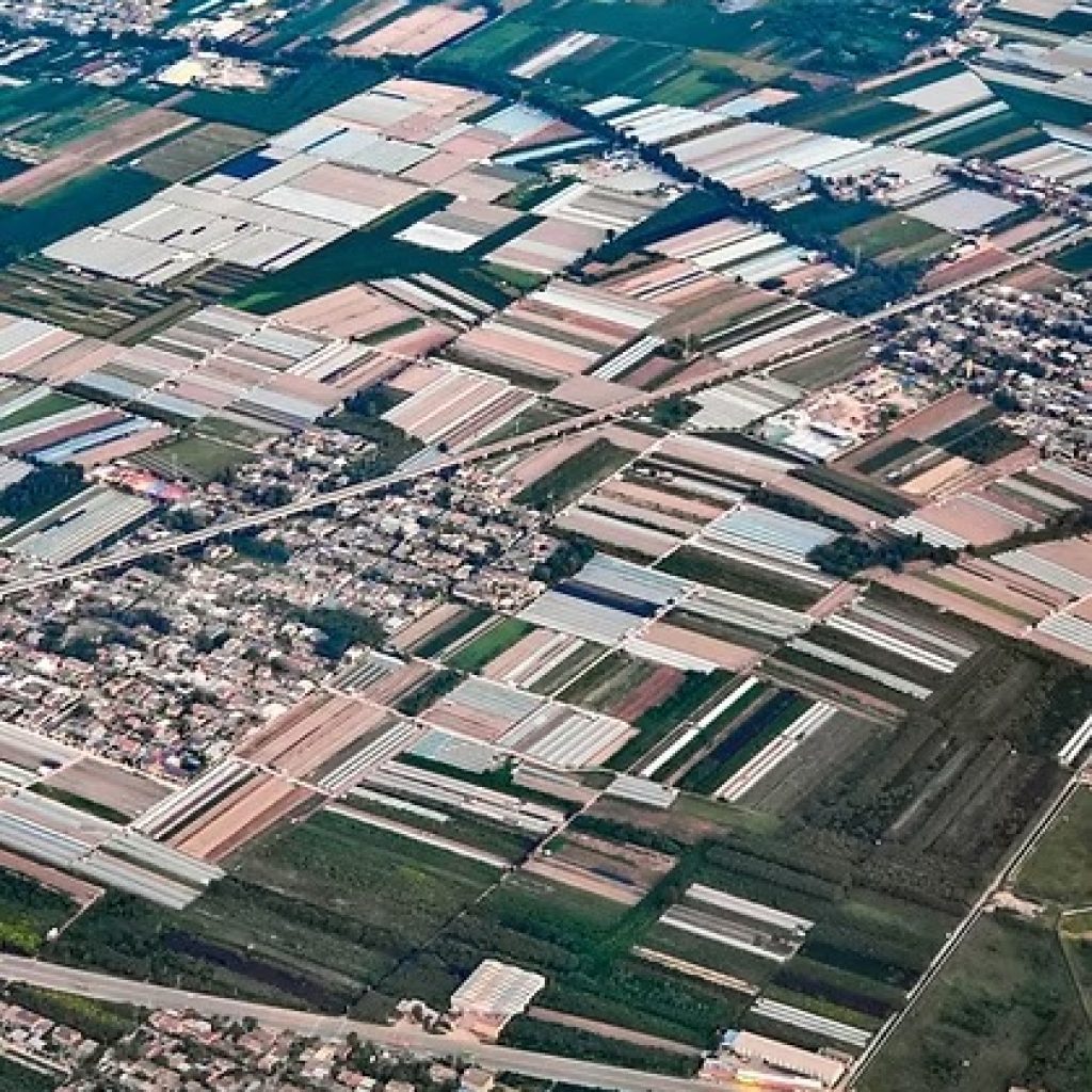 Coworking Space Bangalore: Flexible, Productive, and Local