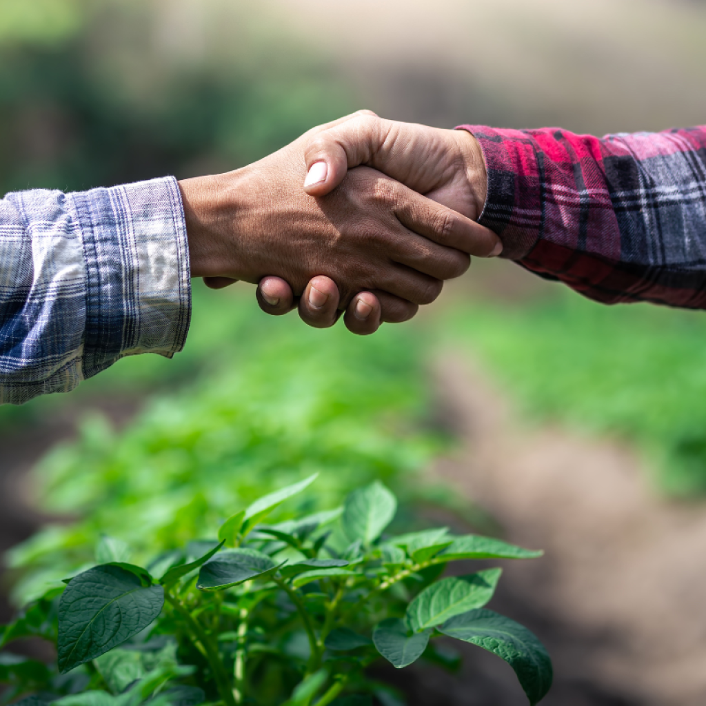 Red Sugar Beans Exporters To China: Trusted Partners