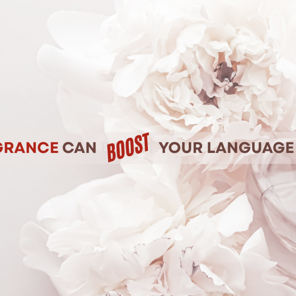 JLPT Test Preparation in Hong Kong: Quick Guide