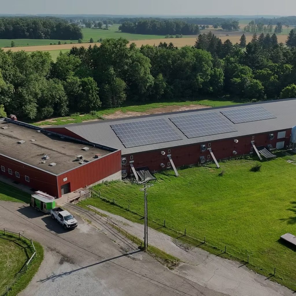 Fully integrated poultry production: streamlined, efficient farming