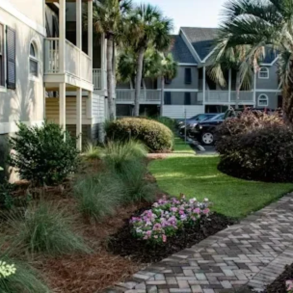 Affordable Gardening Company Sydney — Reliable, Transparent Garden Care