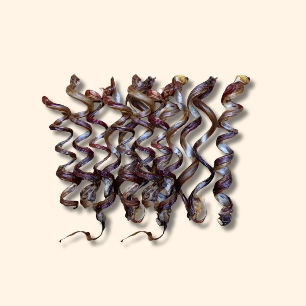 Buy duck dog products in USA — Trusted gear for happy pups