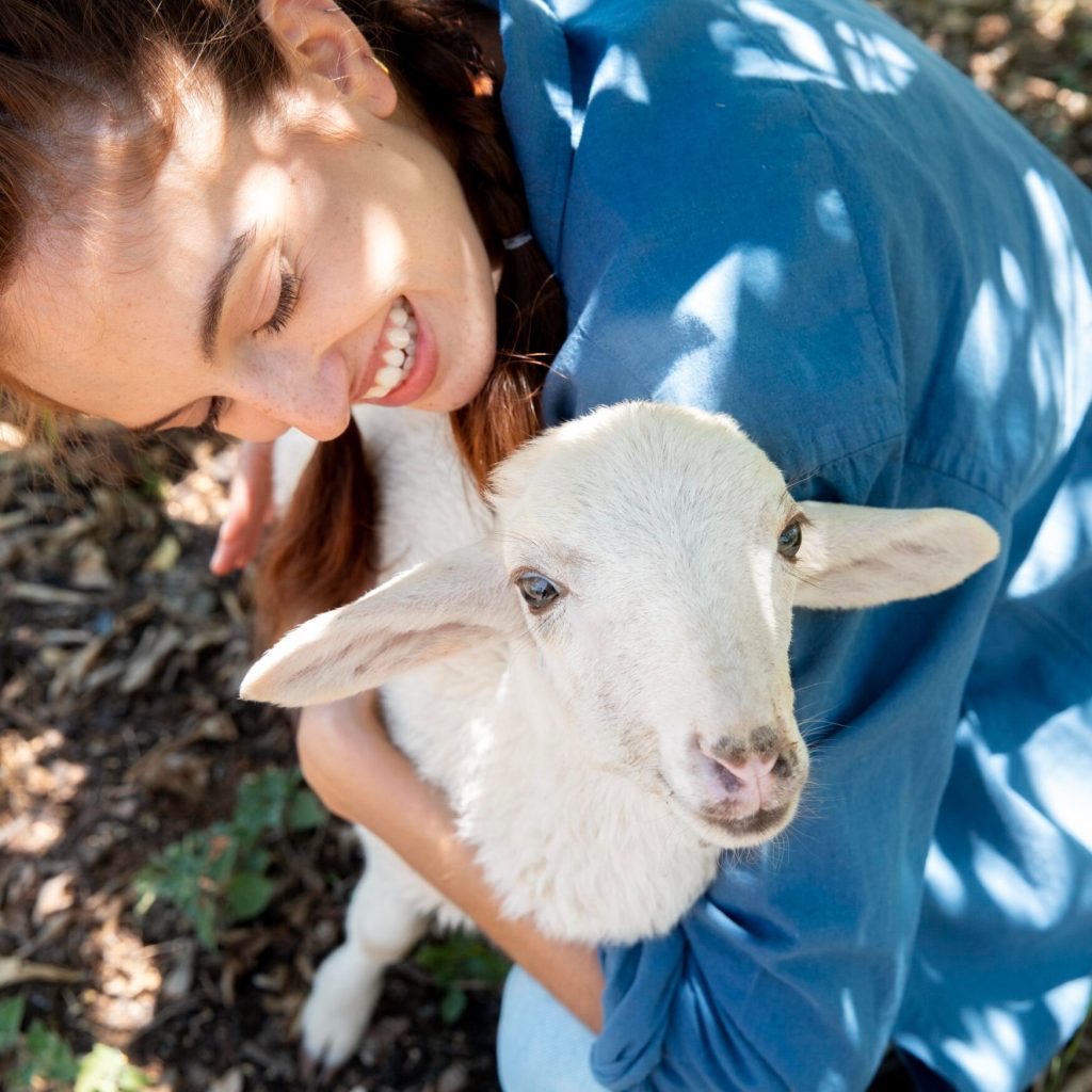 Qatar halal-certified goat meat import: reliable, compliant supply