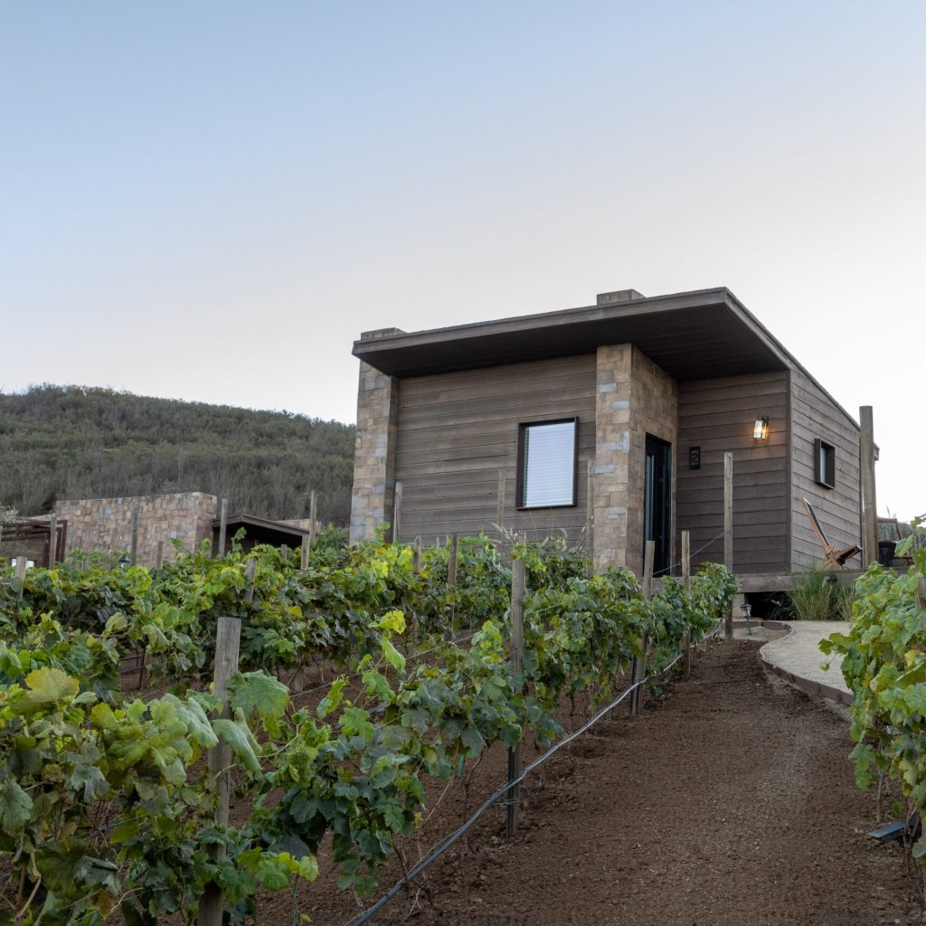 Boutique Hotel Valle de Guadalupe: A Hidden Coastal Valley Gem