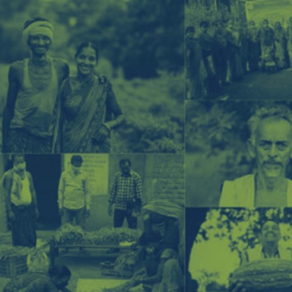 DPDP Service Provider in India: Trusted Data Privacy Solutions