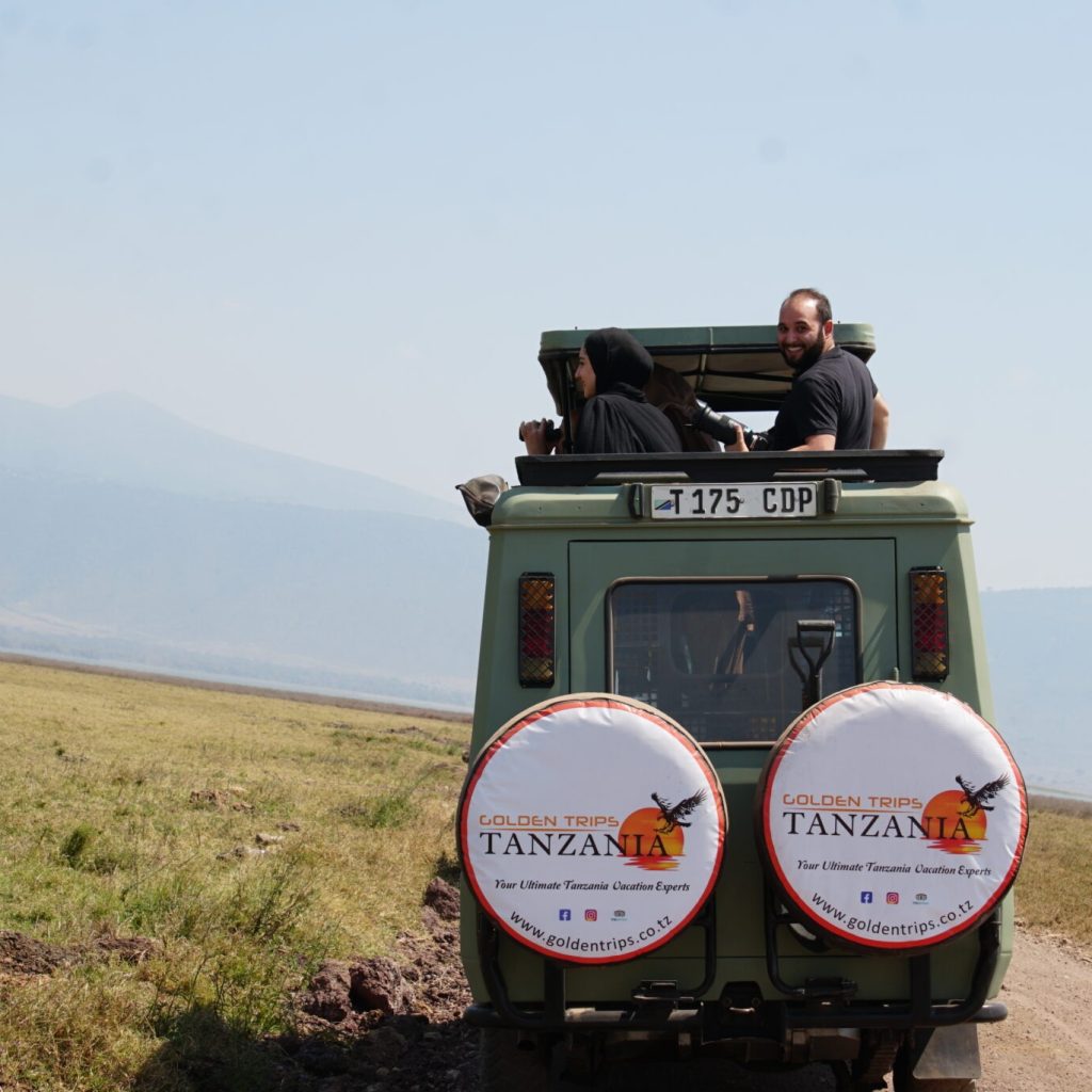 African Safari Tours: Up-Close Wildlife, Expert Guides, and Authentic Camps