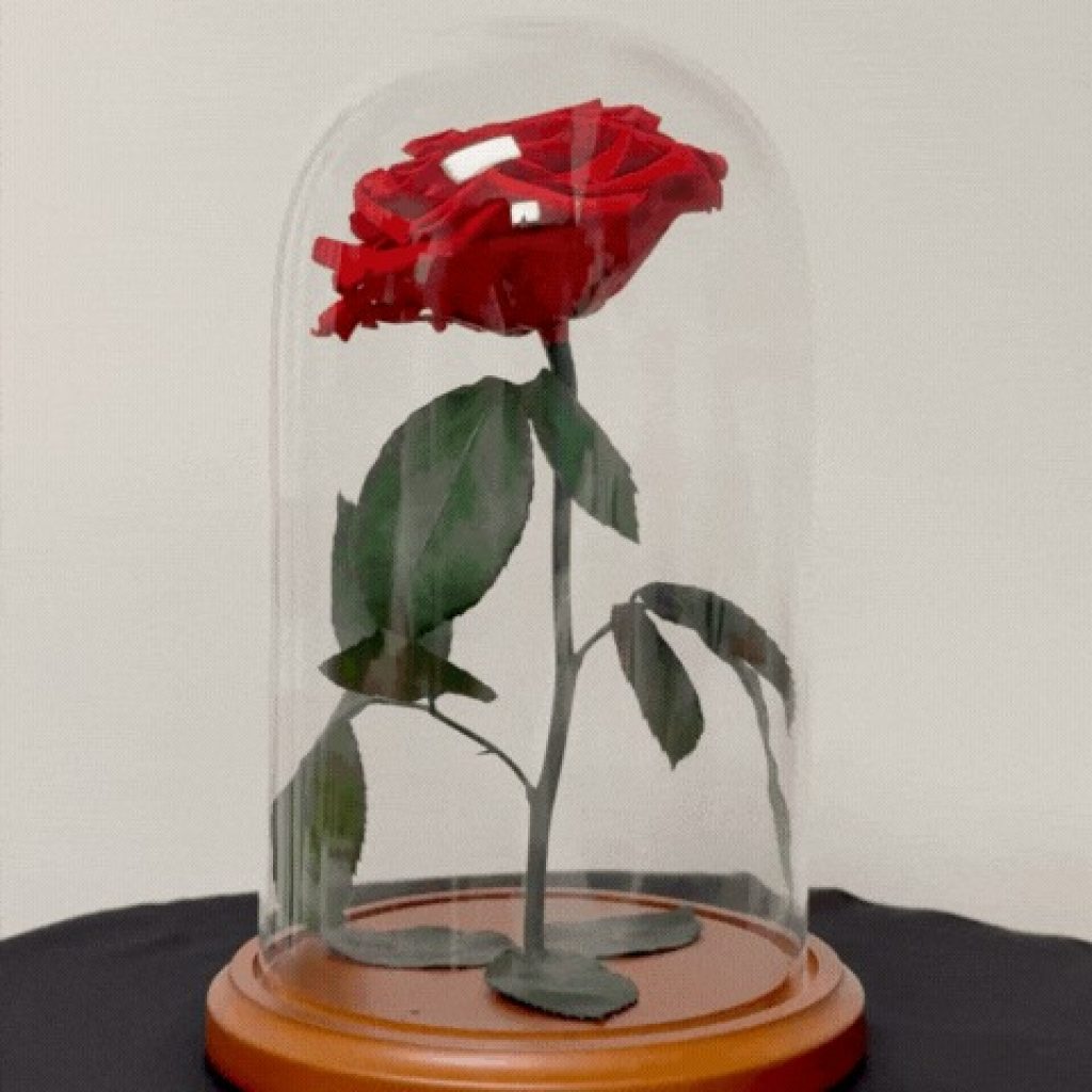 Vibrant Forever Roses for Every Moment