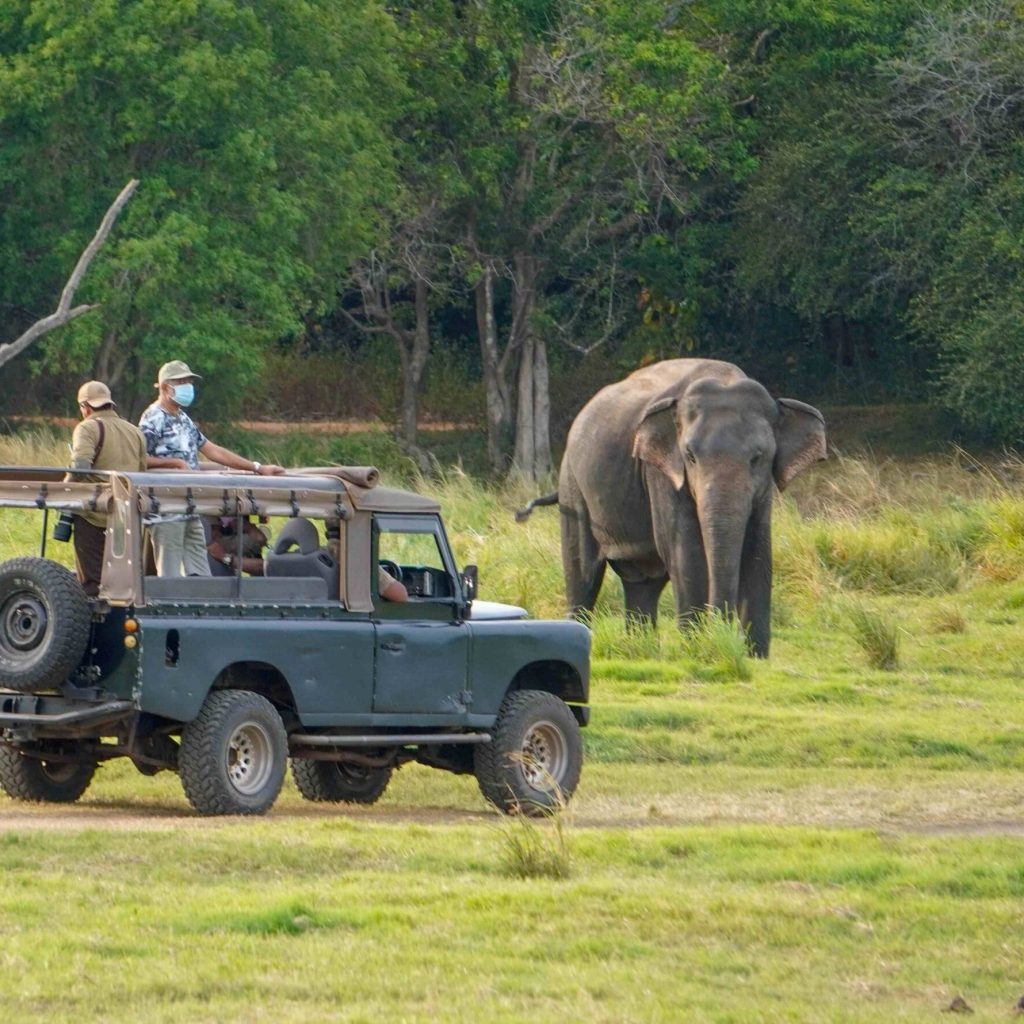 Discover Comfortable Private Vans for Sri Lankan Adventures Discover Comfortable Private Vans for Sri Lankan Adventures