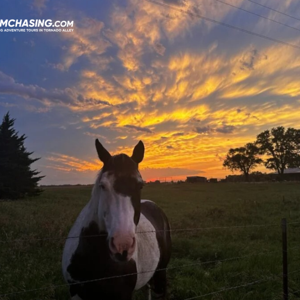 Chase Incredible Storms: Guided Vacations for Weather Enthusiasts