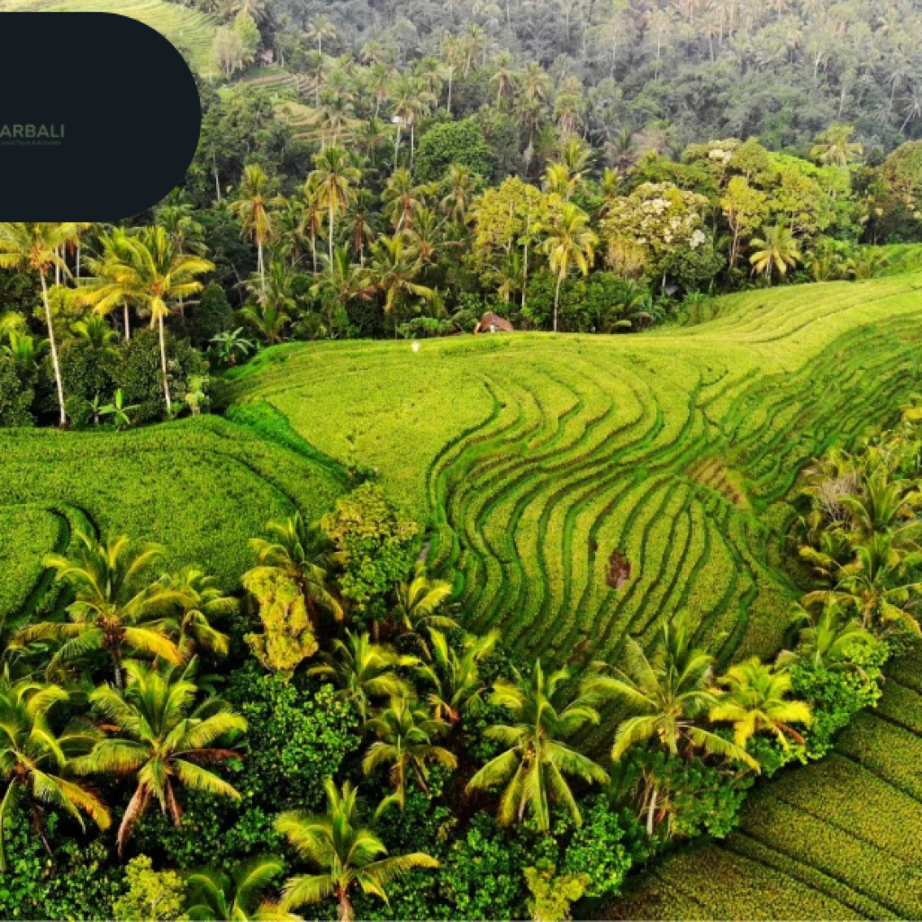 Discover Private Bali Tours Online: Book Your Dream Experience