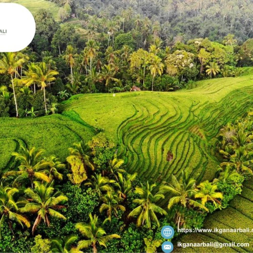 Romantische resorts Bali | Ikganaarbali.nl Romantische resorts Bali | Ikganaarbali.nl