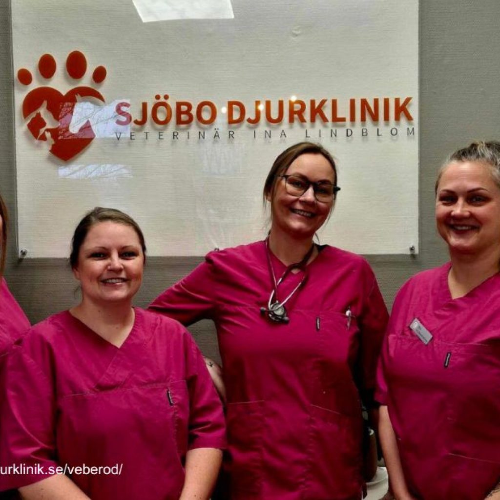 Skydda din hund i Simrishamn med pålitliga vaccinationstjänster