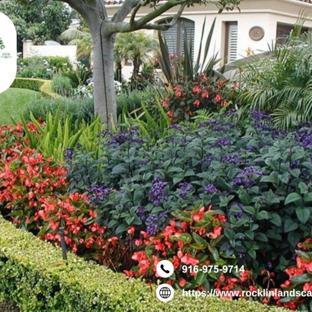 Landscapers Rocklin | Rocklinlandscapingpros.com