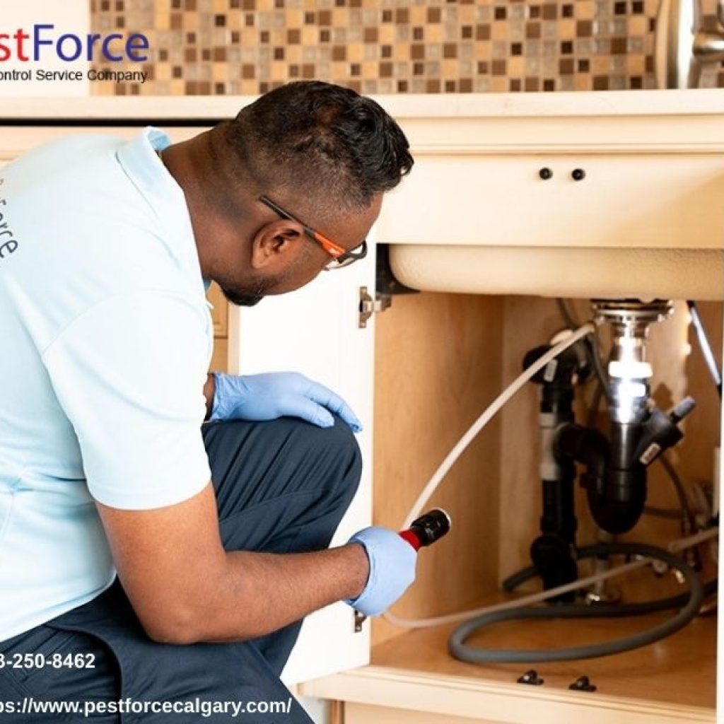 Bed Bug Exterminator | Pestforcecalgary.com