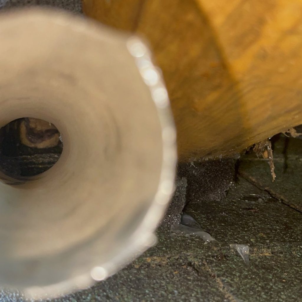 Professional Wildlife Management for Newton Homes Professional Wildlife Management for Newton Homes