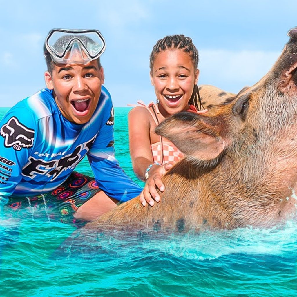 Nassau’s Famed Pig Beach Adventure – A Caribbean Swim Experience Nassau’s Famed Pig Beach Adventure – A Caribbean Swim Experience