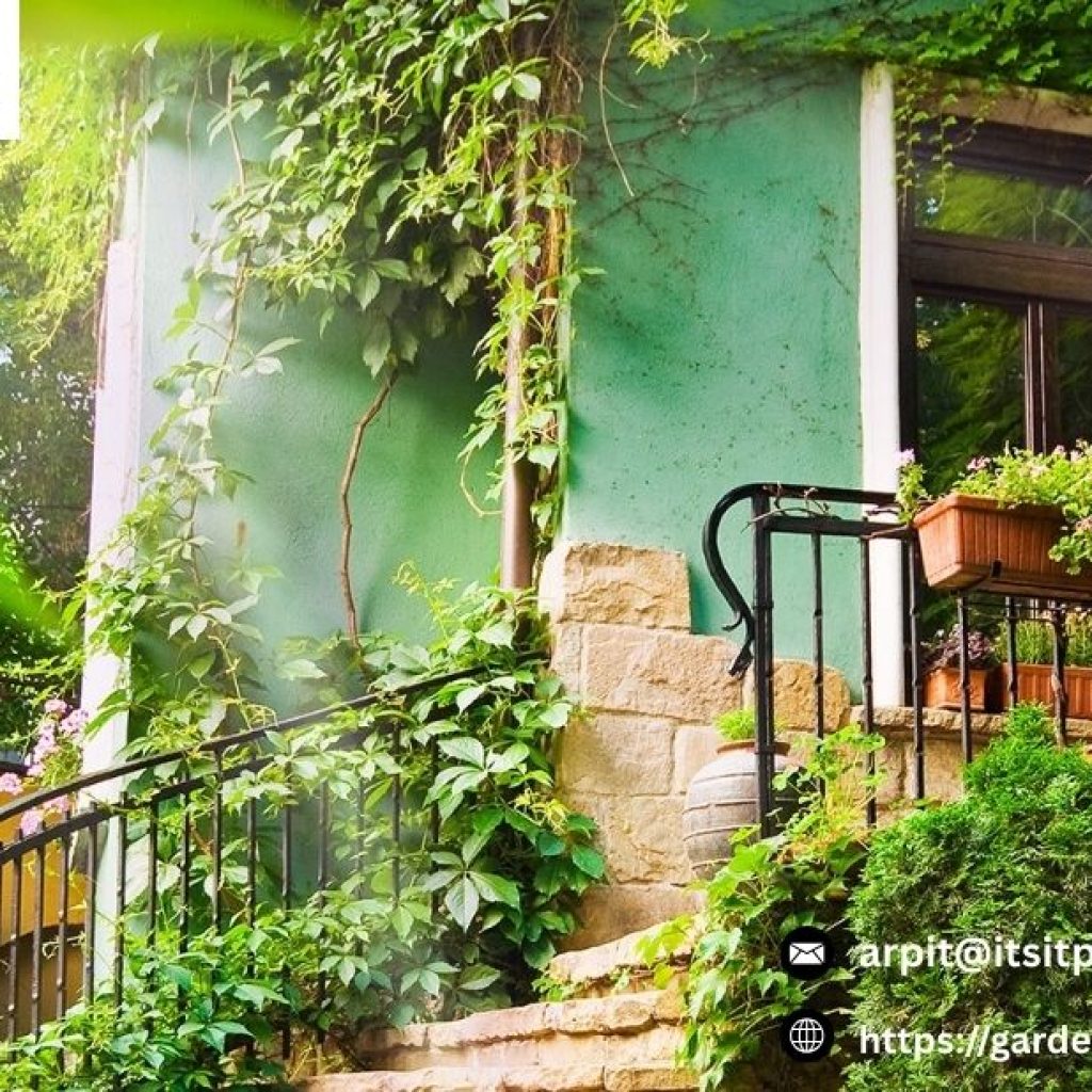 Landscaping Services North Shore | Gardenvisions.co.nz