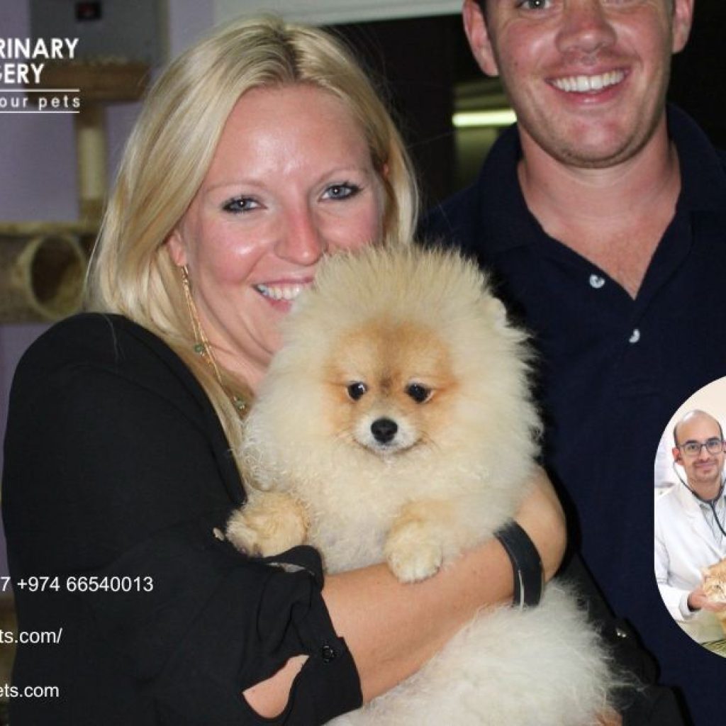 Doha Vet | Dohavets.com Doha Vet | Dohavets.com