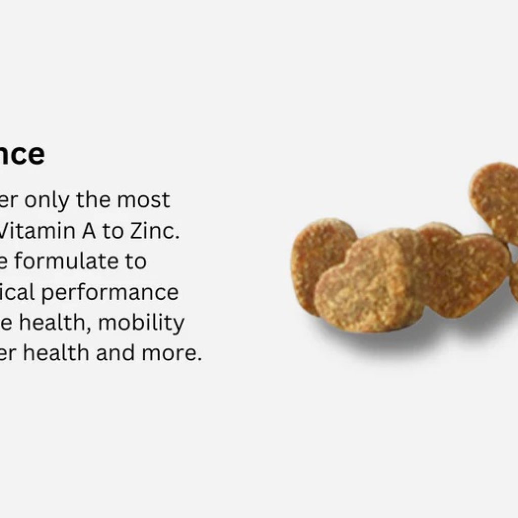 Boost Your Dog’s Digestion with Trusted Probiotic Supplements Boost Your Dog’s Digestion with Trusted Probiotic Supplements