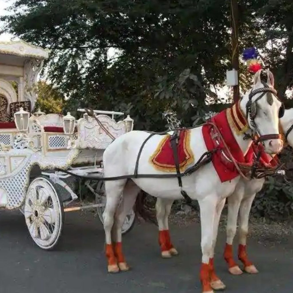 Baraat Services: Memorable Processions for Your Big Day