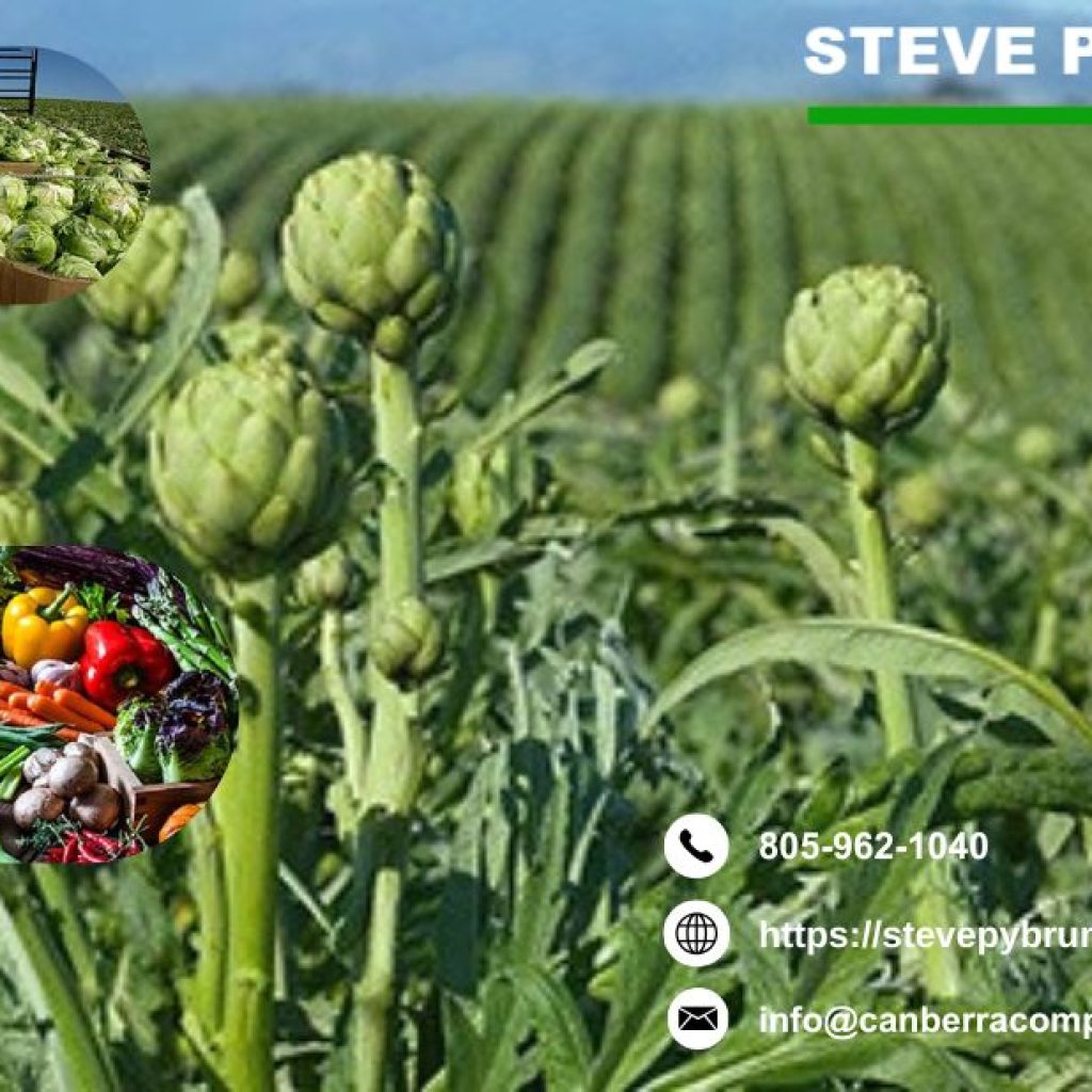 Farm CPA Expert in Santa Barbara Maximize Tax Savings for Your Farm