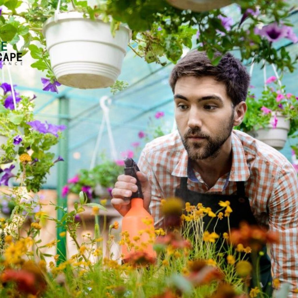 Expert Garden Care for Sydney Homes | Local Lawn & Plant Maintenance Expert Garden Care for Sydney Homes | Local Lawn & Plant Maintenance