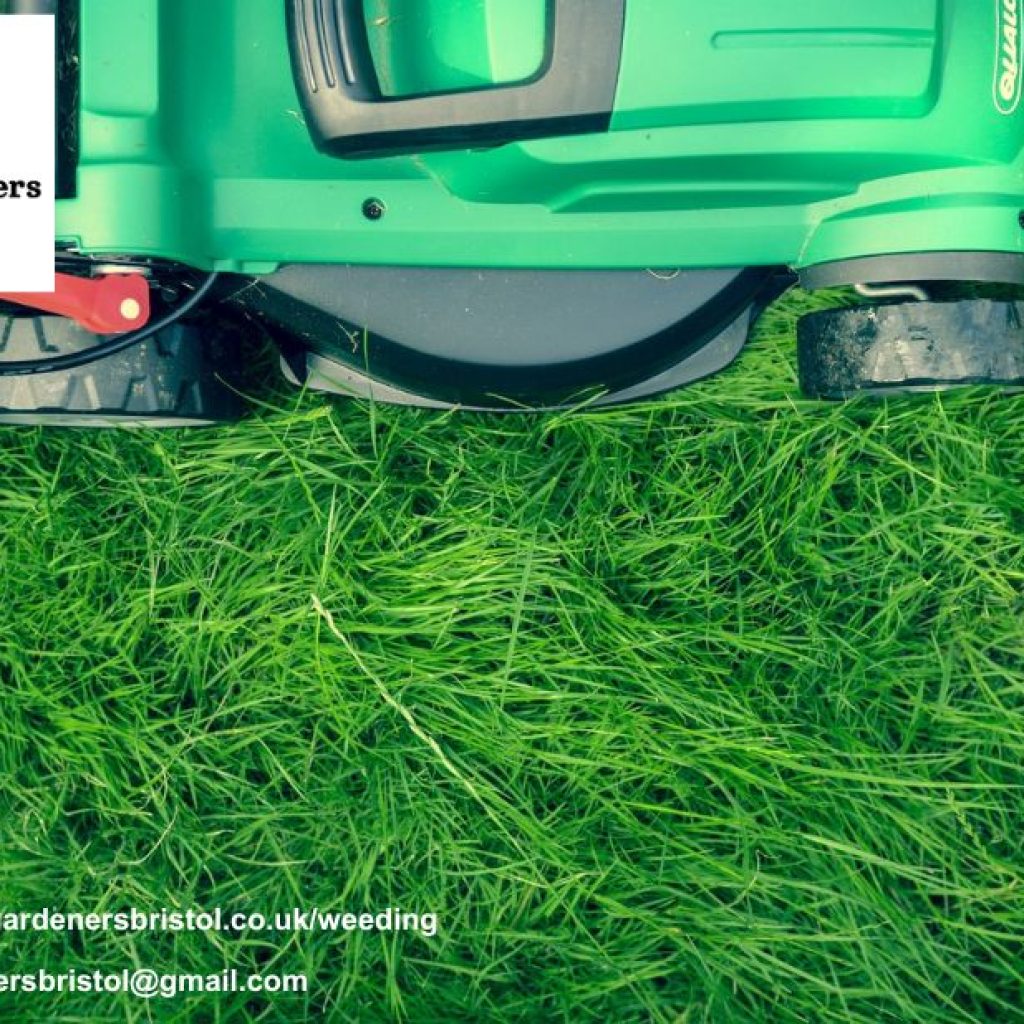 Fast, Reliable Lawn Mowing in Bristol – Same-Day Service Fast, Reliable Lawn Mowing in Bristol – Same-Day Service