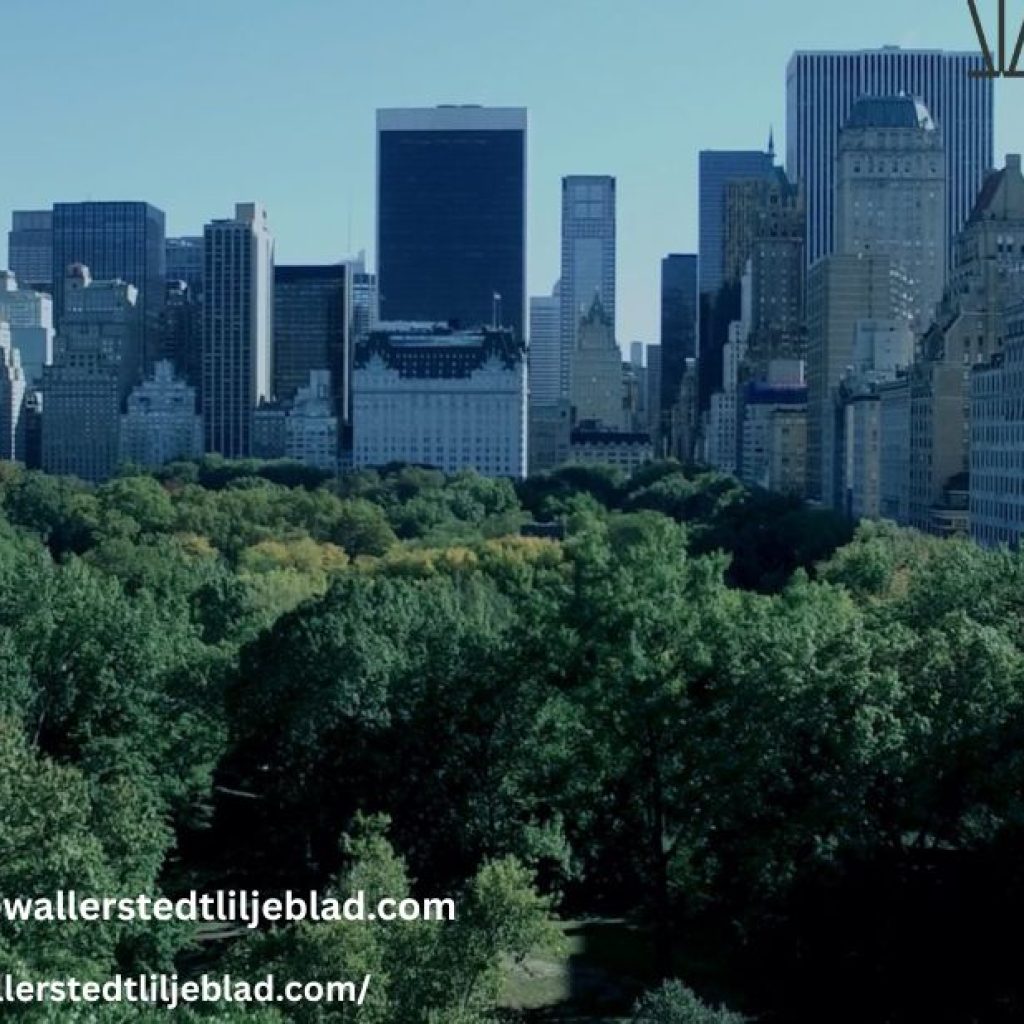 Internationell beskattning | Wallerstedtliljeblad.com