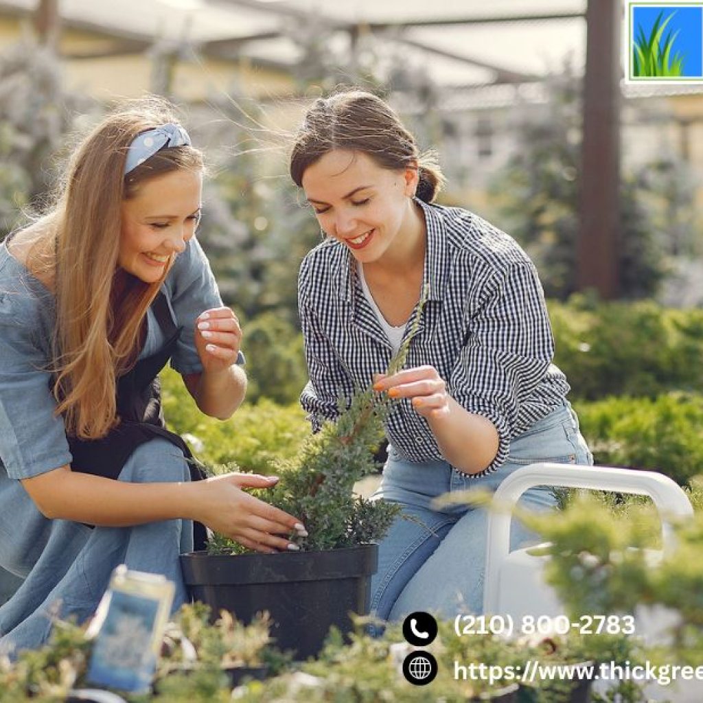 Trusted Lawn Care Professionals In San Antonio | Thickgreenhealthy.com