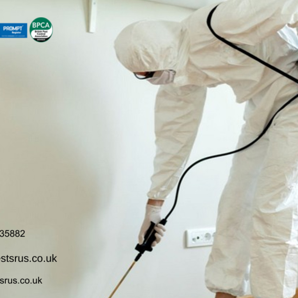 Protect Buildings From Birds Using Pigeon Pest Control London Services Protect Buildings From Birds Using Pigeon Pest Control London Services
