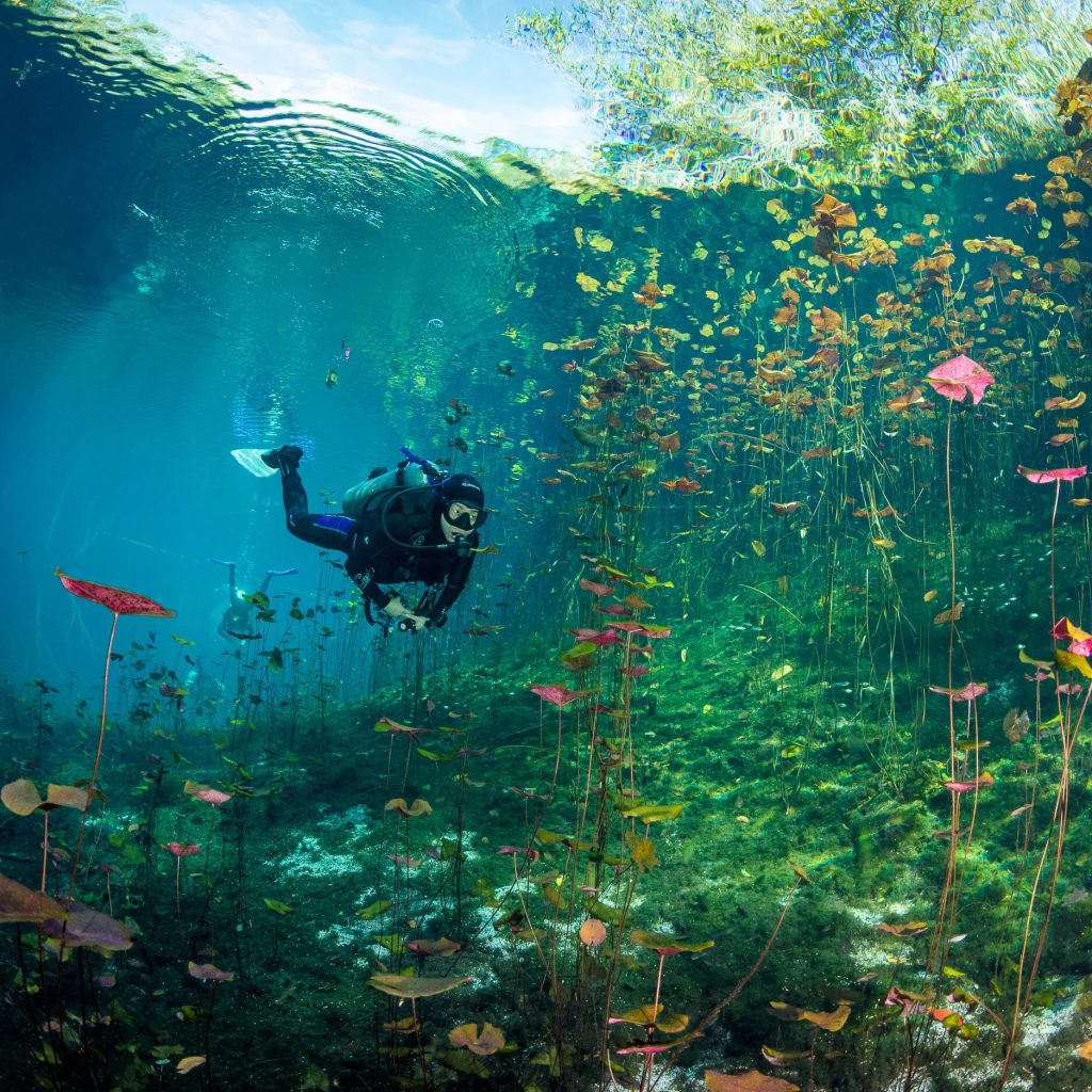 Unforgettable Cenote Diving Adventures for Every Skill Level