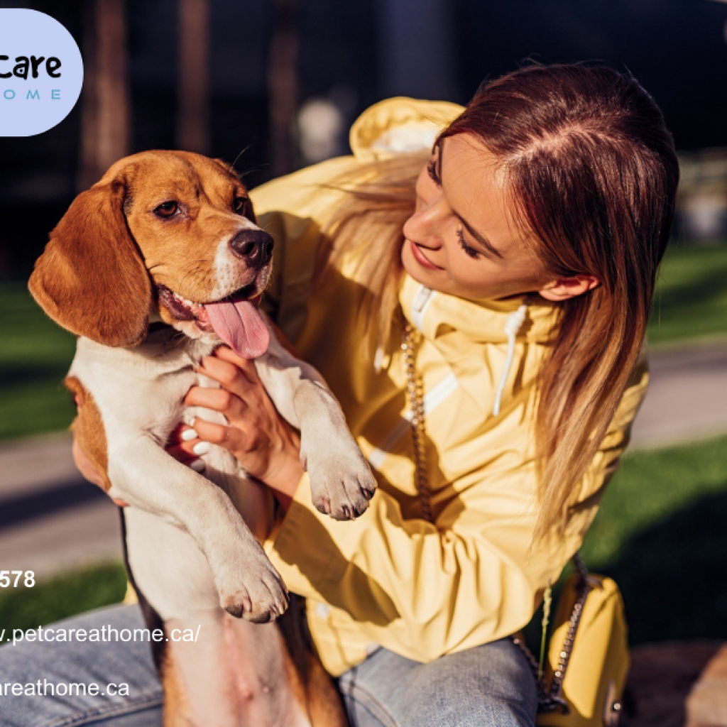 At Home Pet Euthanasia In Calgary | Petcareathome.ca At Home Pet Euthanasia In Calgary | Petcareathome.ca