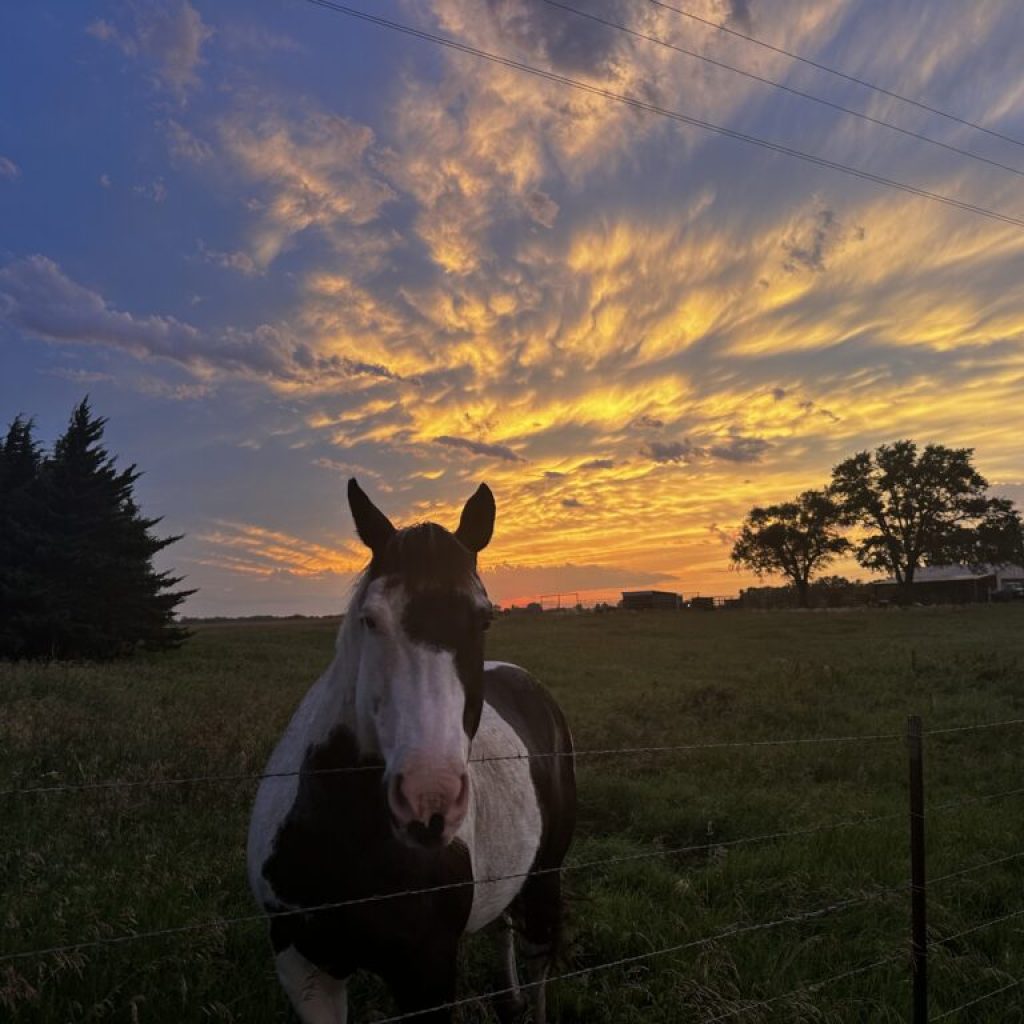 Chase the Storm: Guided USA Weather Tours for Adventurers