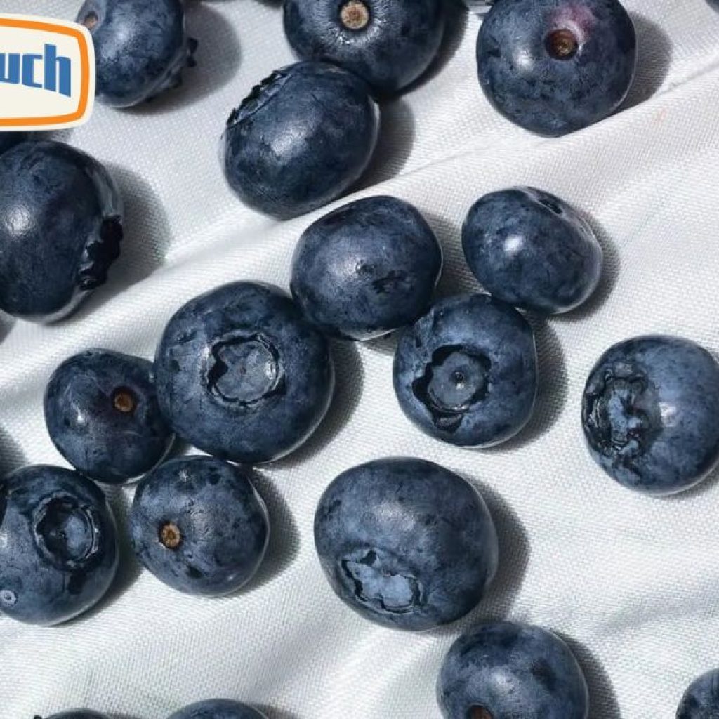 Discover a Clean, Discreet Nicotine Experience