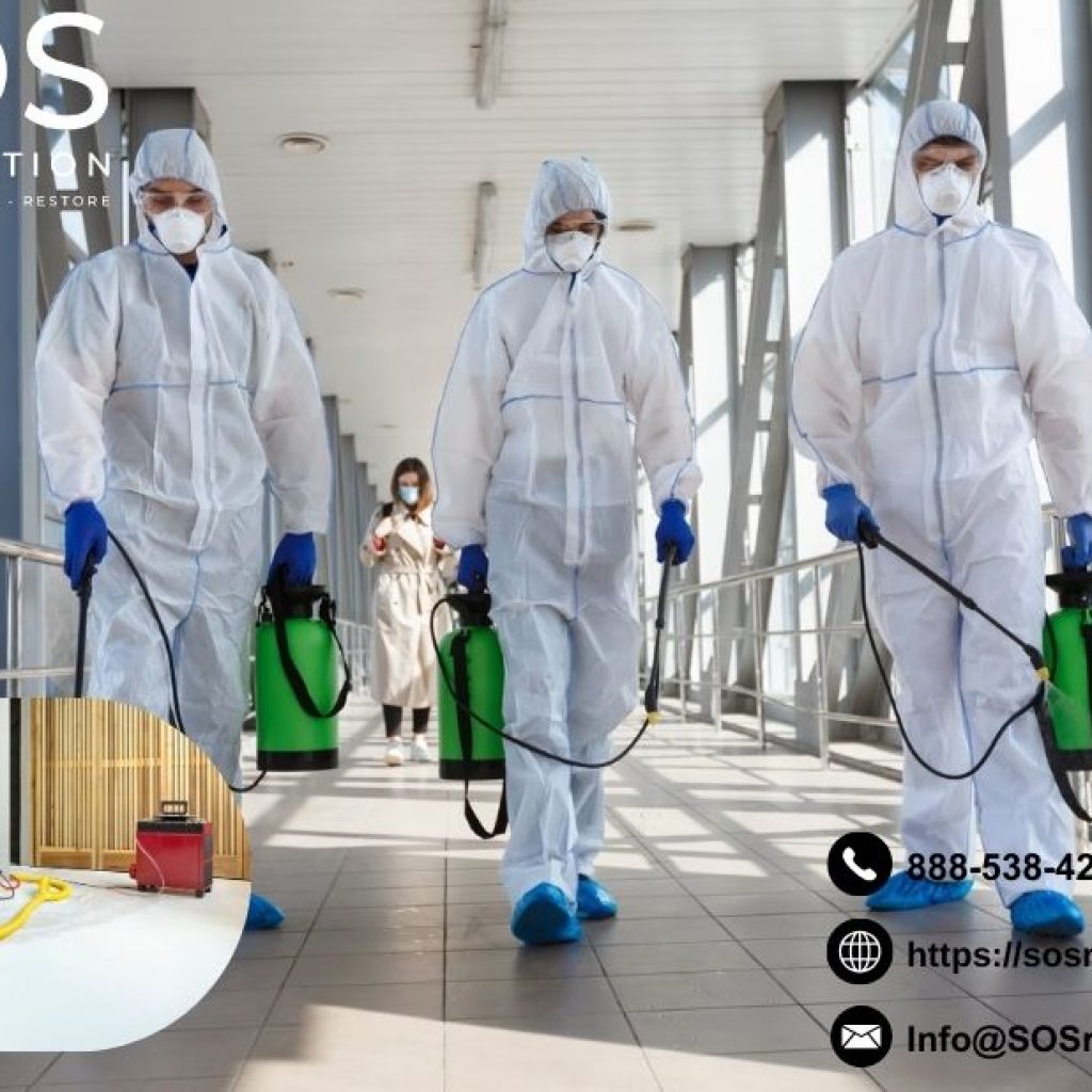 Mold Remediation In Los Angeles | Sos Restoration Inc