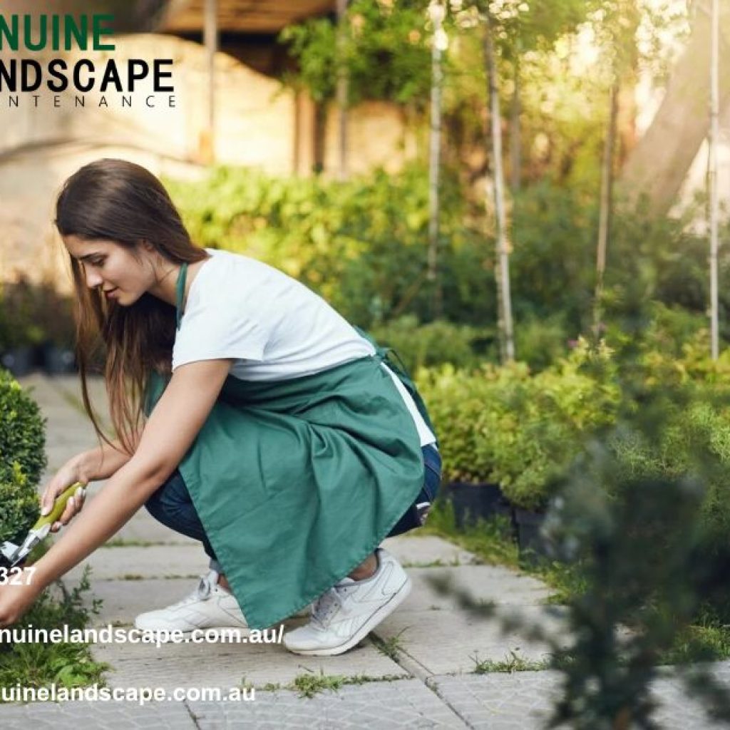 Landscape Maintenance Services Sydney Professionals