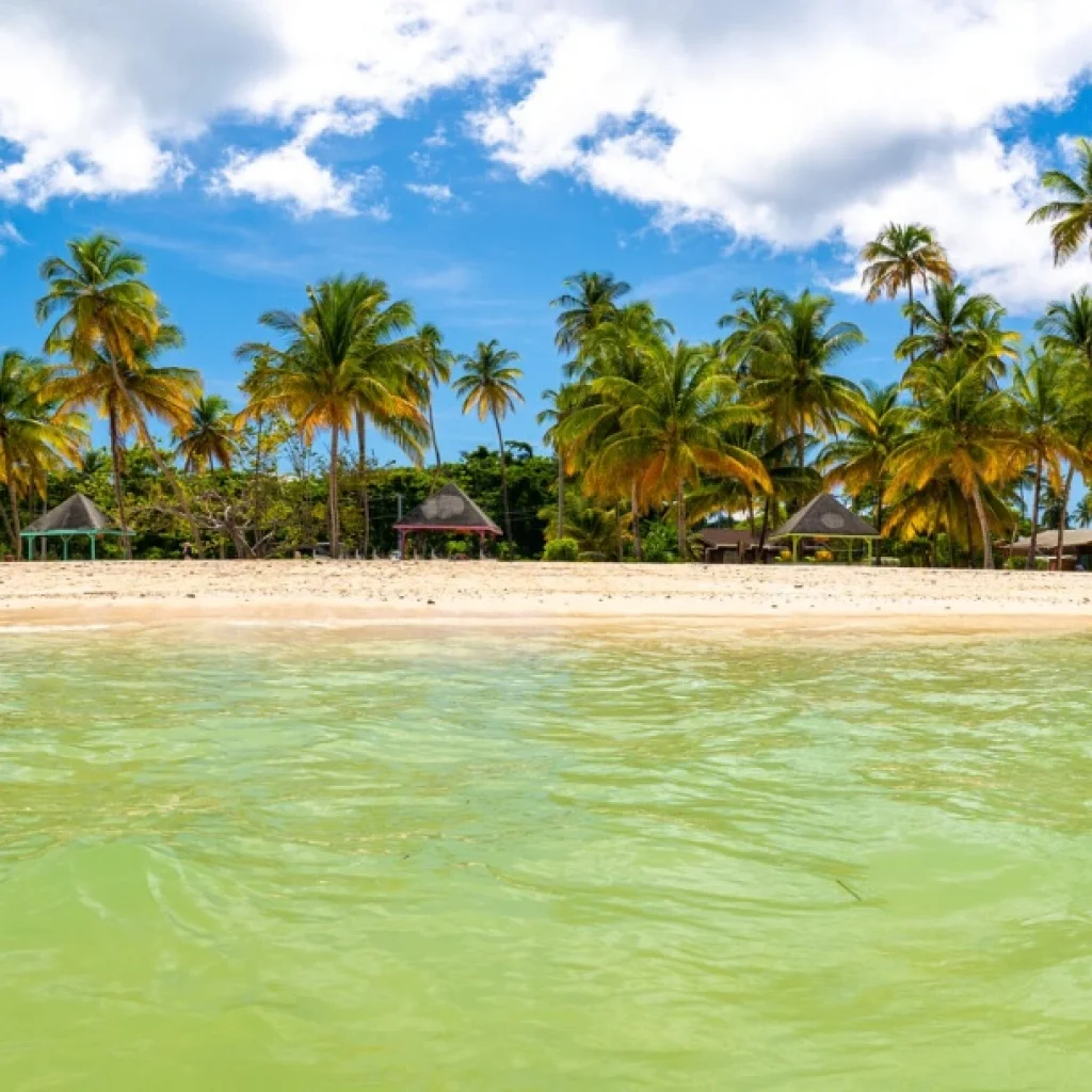 Smart, Affordable Hawaii Car Rentals for Your Island Adventure Smart, Affordable Hawaii Car Rentals for Your Island Adventure