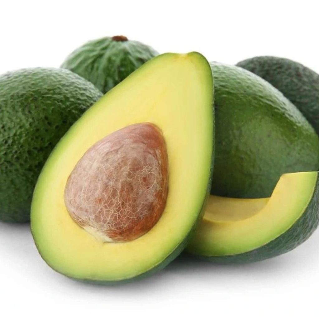 Global Hass Avocado Suppliers: Trusted Tanzanian Export Partners Global Hass Avocado Suppliers: Trusted Tanzanian Export Partners
