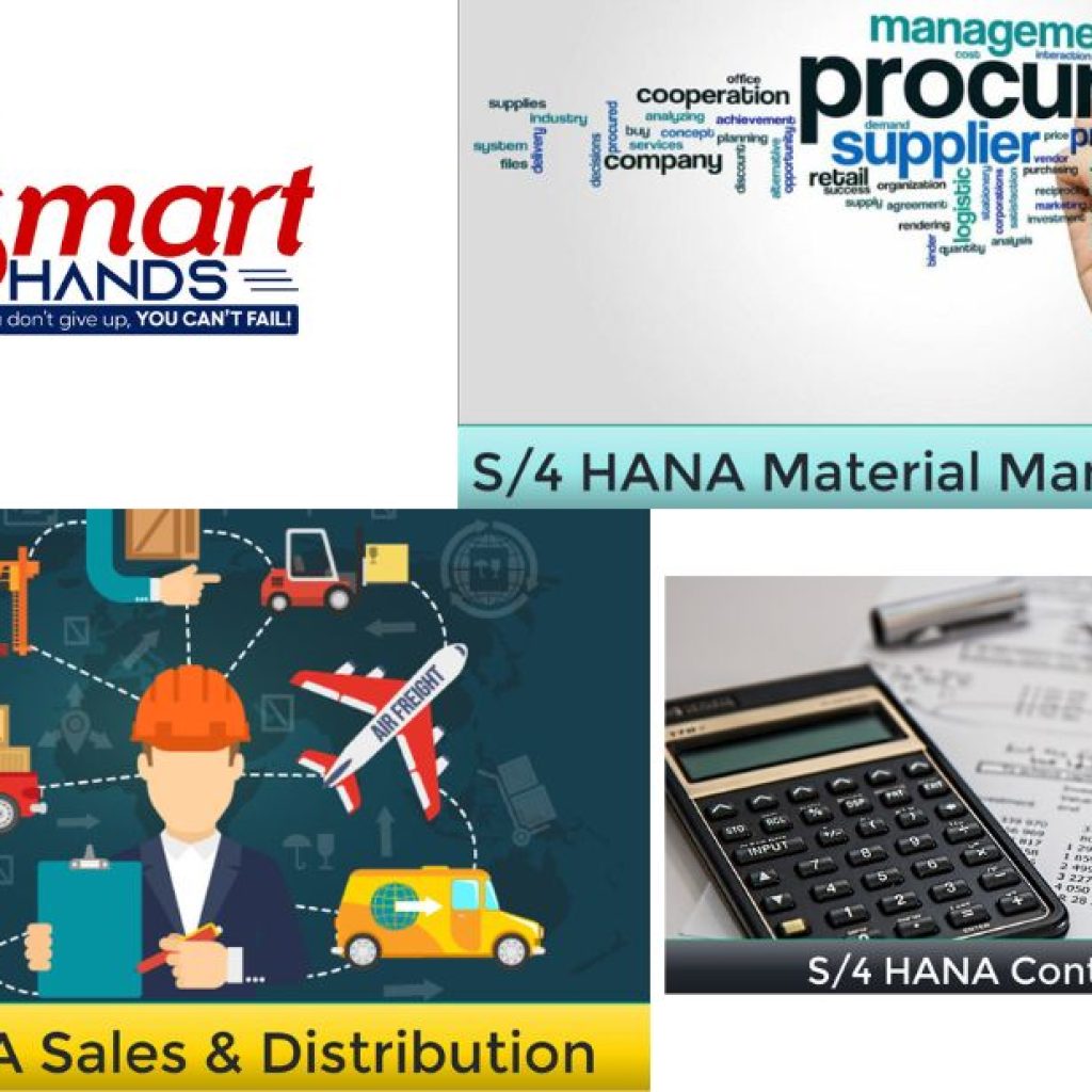 Mastering SAP SD Modules: A Practical Guide for 2024