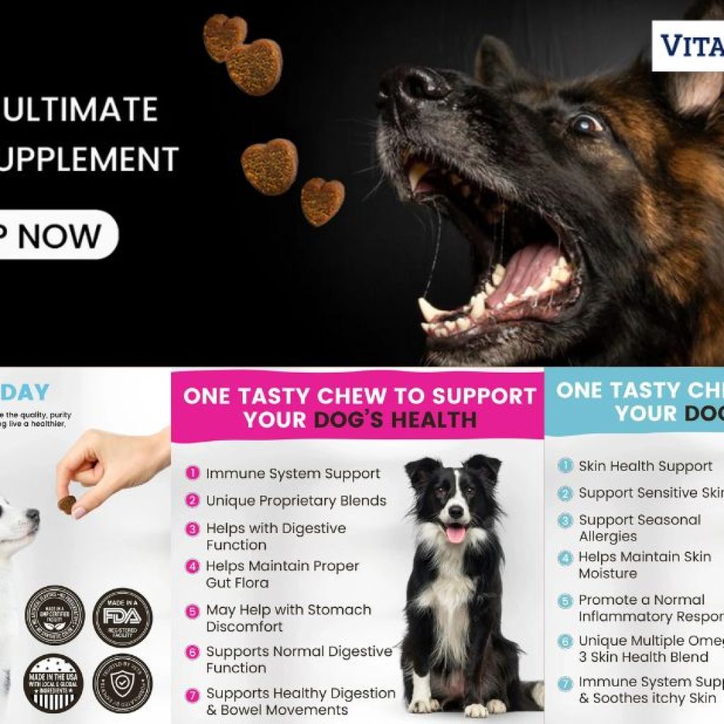Support Your Dog’s Joints: Safe Glucosamine for Mobility and Comfort