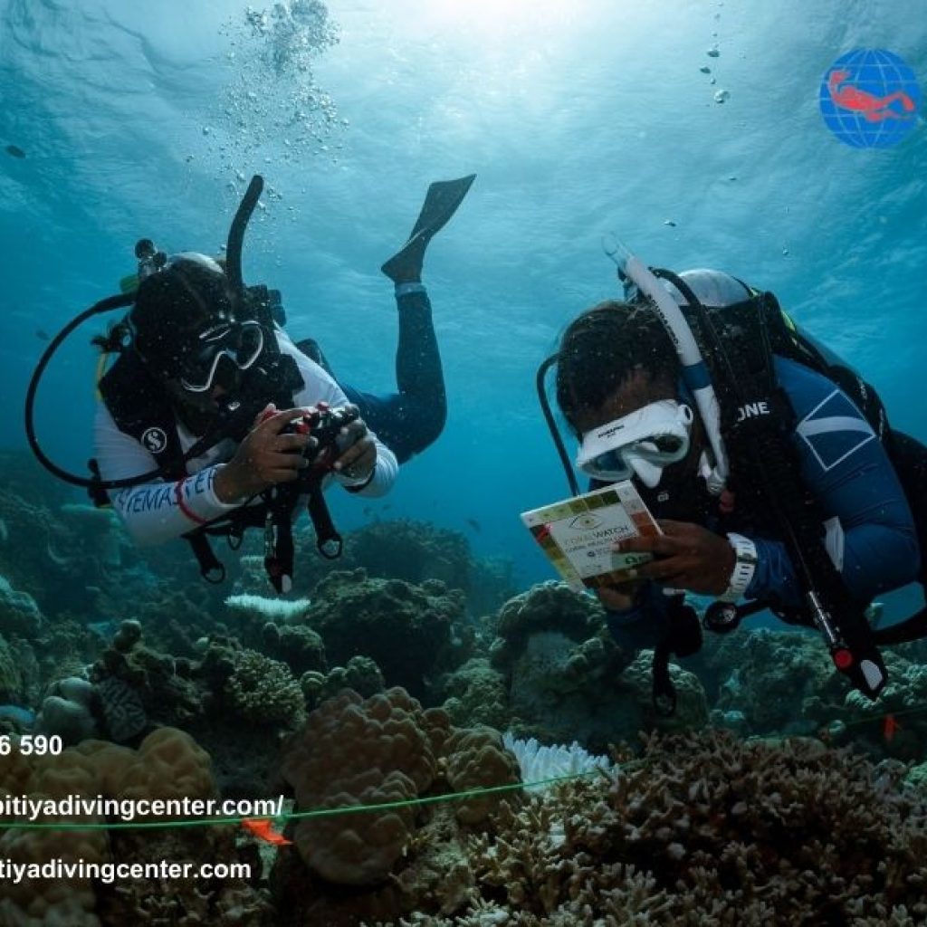 Kalpatiya Diving Packages For Beginners | Kalpitiyadivingcenter.com