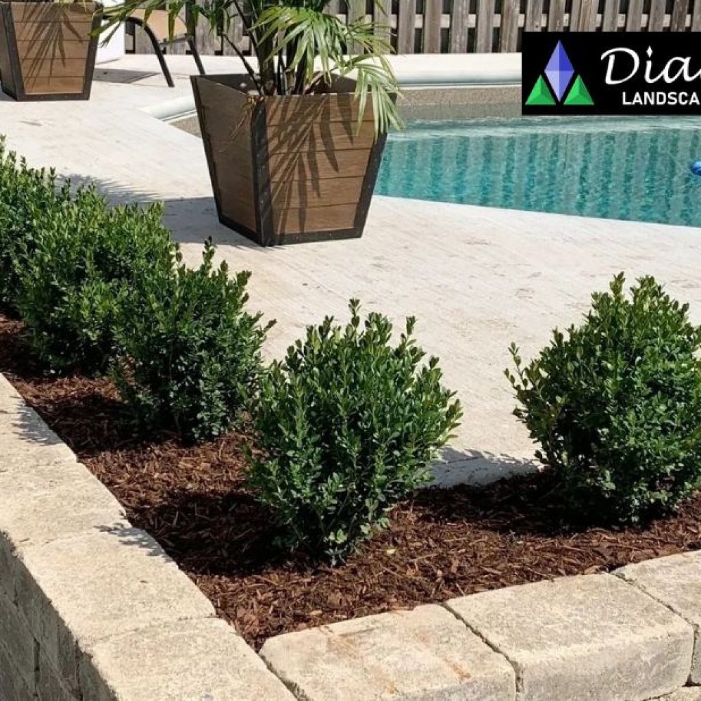Premium pool installation services in Cambridge for stunning backyards Premium pool installation services in Cambridge for stunning backyards