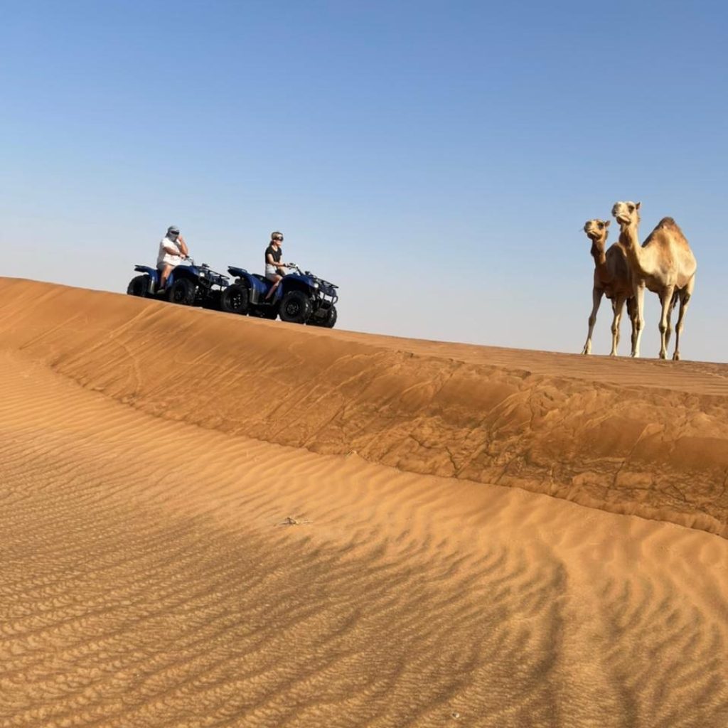 Dawn Desert Adventure: ATV Ride Across First Light Dawn Desert Adventure: ATV Ride Across First Light