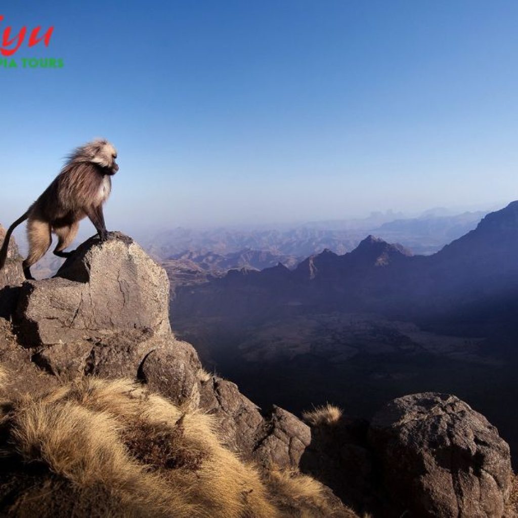 Explore Ethiopia: Trusted Travel Specialists for Unforgettable Journeys