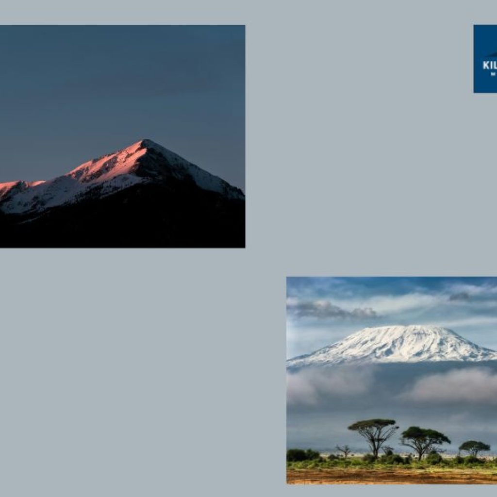 Choosing a Kilimanjaro Peak Trek: How Umbwe Stacks Up Against Others Choosing a Kilimanjaro Peak Trek: How Umbwe Stacks Up Against Others