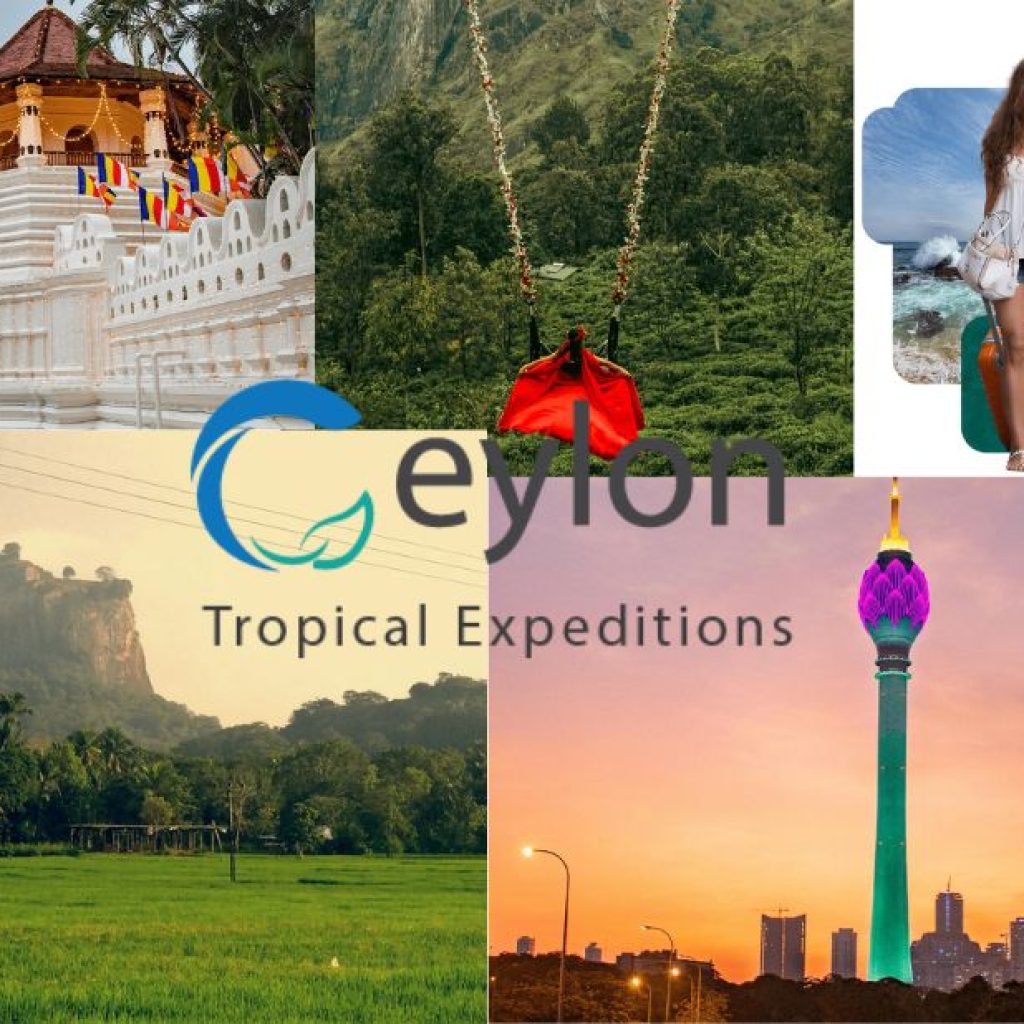 Explore Colombo in a Day: Guided City Highlights Tour Explore Colombo in a Day: Guided City Highlights Tour